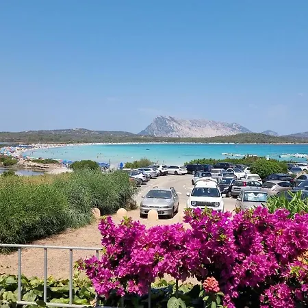 Сasa de vacaciones Girgolu